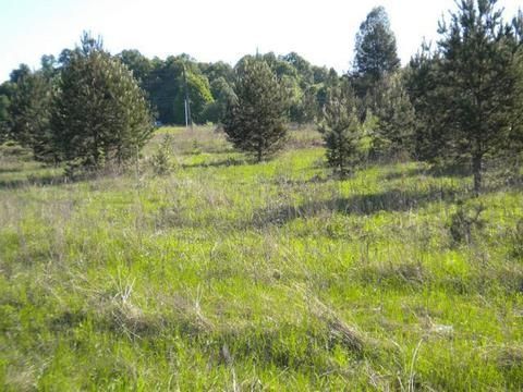 Продажа участка, Тараскино