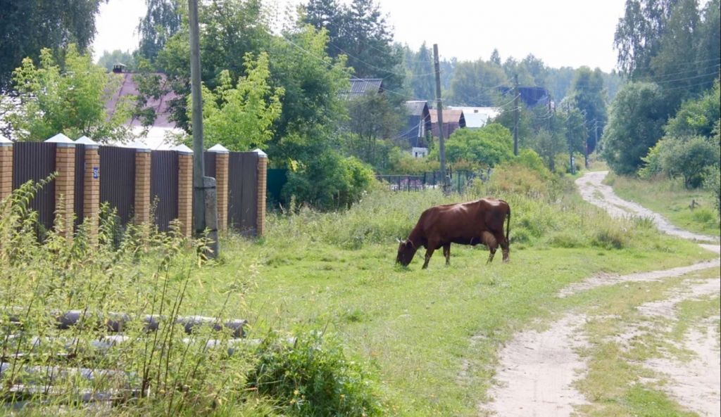 Продажа участка, Финеево,  СНТ Финеево-1
