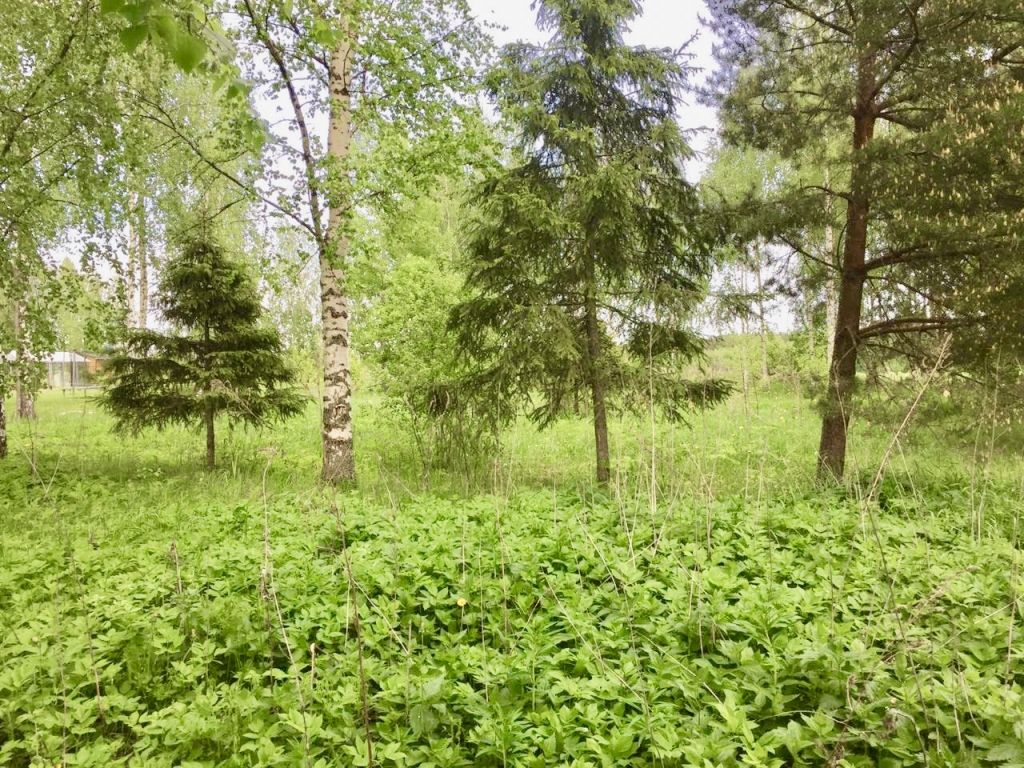 Продажа участка, Троицкое