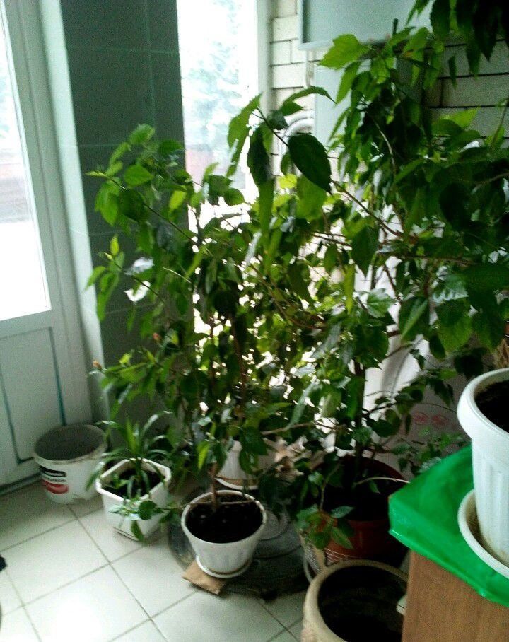 Продажа 2-комнатной квартиры, Батайск, Энгельса ул