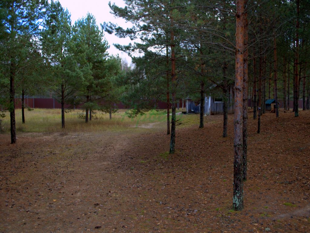 Продажа дома, 470м <sup>2</sup>, 100 сот., Головачево