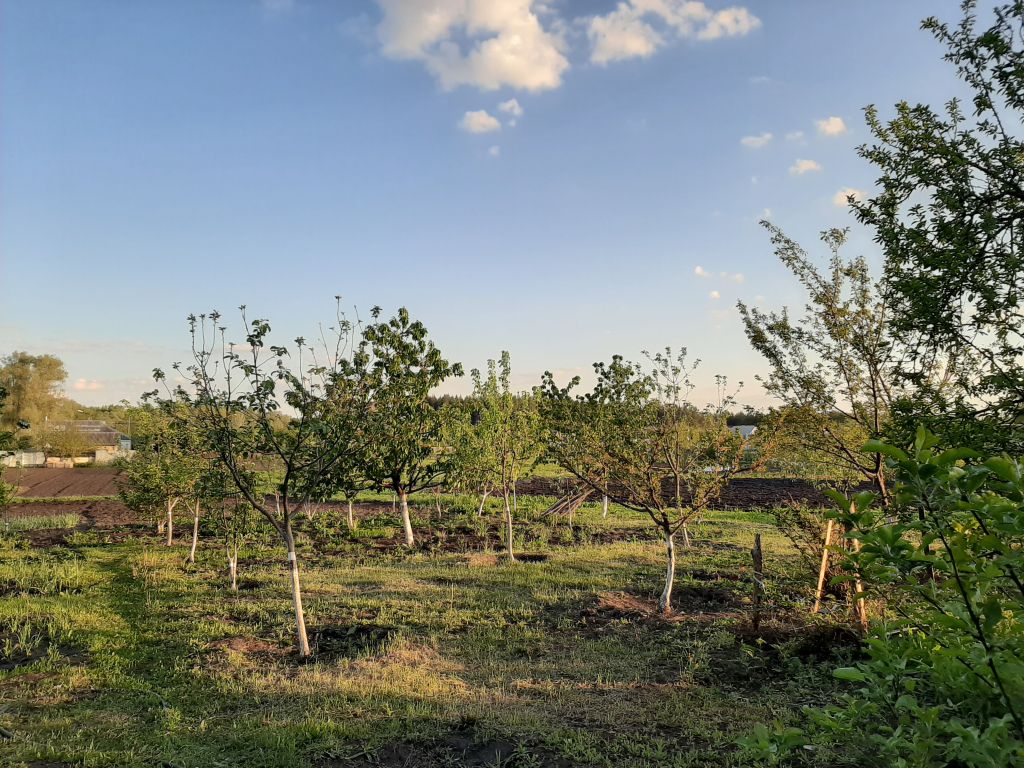 Продажа дома, 51м <sup>2</sup>, 15 сот., Волоконовка, Мира ул, 45 Продажа дома, 51м <sup>2</sup>, 15 сот., Волоконовка, Мира ул, 45