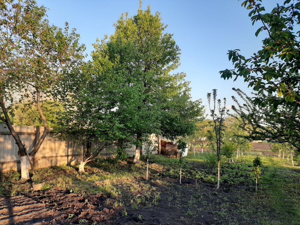 Продажа дома, 51м <sup>2</sup>, 15 сот., Волоконовка, Мира ул, 45 Продажа дома, 51м <sup>2</sup>, 15 сот., Волоконовка, Мира ул, 45