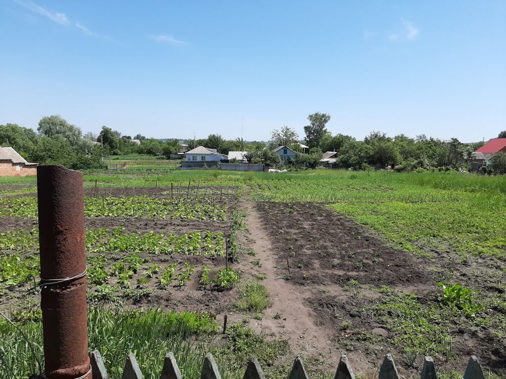 Продажа дома, 45м <sup>2</sup>, 15 сот., Волоконовка, Курочкина ул Продажа дома, 45м <sup>2</sup>, 15 сот., Волоконовка, Курочкина ул