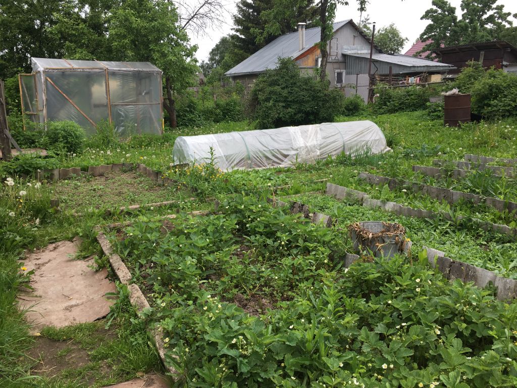 Продажа дома, 52м <sup>2</sup>, 7 сот., Шуя, Мичуринская 3-я ул Продажа дома, 52м <sup>2</sup>, 7 сот., Шуя, Мичуринская 3-я ул