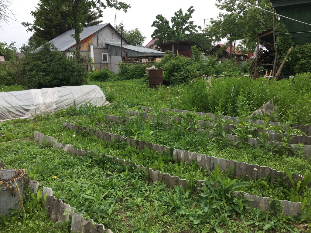 Продажа дома, 52м <sup>2</sup>, 7 сот., Шуя, Мичуринская 3-я ул Продажа дома, 52м <sup>2</sup>, 7 сот., Шуя, Мичуринская 3-я ул
