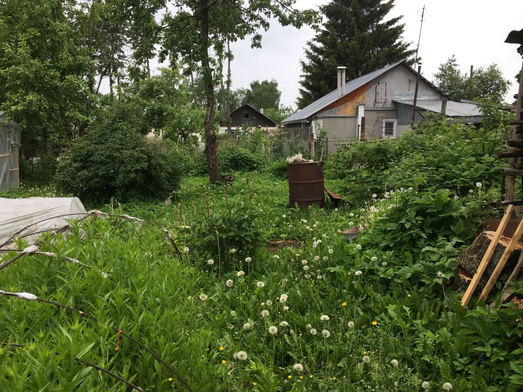 Продажа дома, 52м <sup>2</sup>, 7 сот., Шуя, Мичуринская 3-я ул Продажа дома, 52м <sup>2</sup>, 7 сот., Шуя, Мичуринская 3-я ул