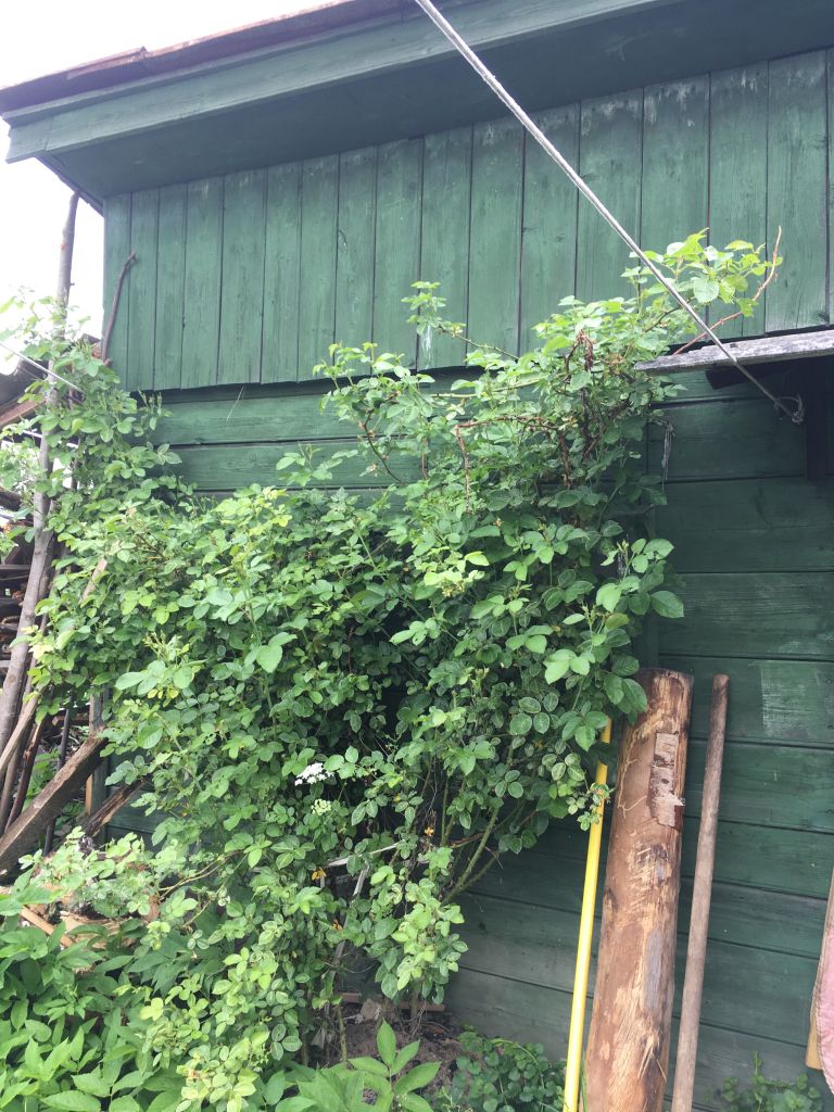 Продажа дома, 52м <sup>2</sup>, 7 сот., Шуя, Мичуринская 3-я ул Продажа дома, 52м <sup>2</sup>, 7 сот., Шуя, Мичуринская 3-я ул