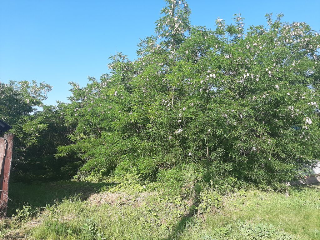 Продажа дома, 35м <sup>2</sup>, 21 сот., Ютановка, Надречная, 28 Продажа дома, 35м <sup>2</sup>, 21 сот., Ютановка, Надречная, 28