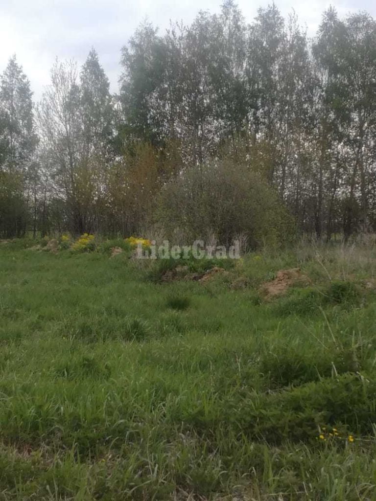 Продажа участка, Осовые