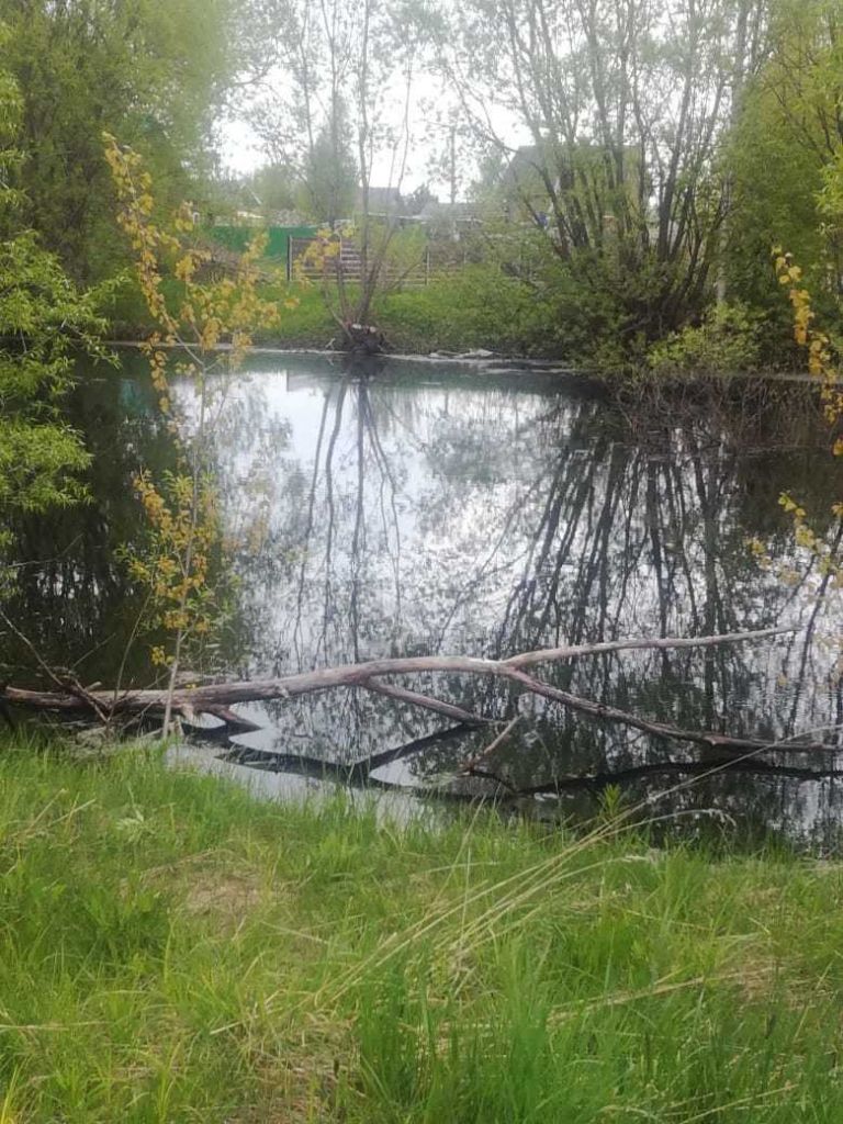 Продажа участка, Осовые