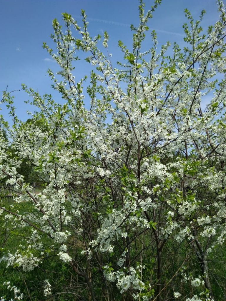 Продажа дома, 52м <sup>2</sup>, 20 сот., Юсупово Продажа дома, 52м <sup>2</sup>, 20 сот., Юсупово