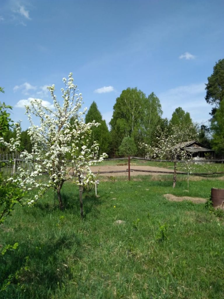 Продажа дома, 52м <sup>2</sup>, 20 сот., Юсупово Продажа дома, 52м <sup>2</sup>, 20 сот., Юсупово