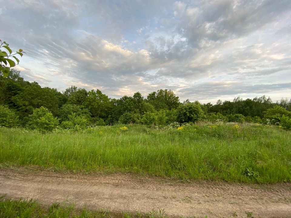 Продажа участка, Криушкино