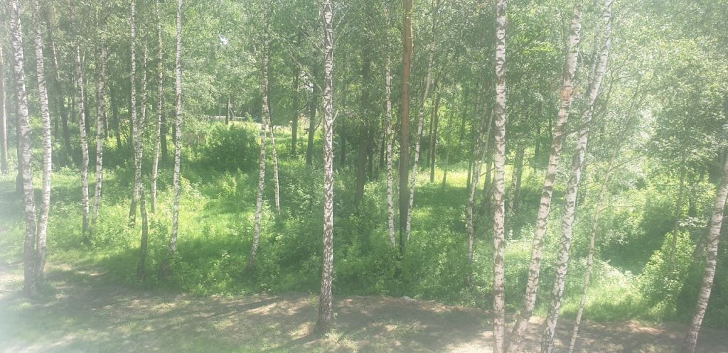 Продажа 3-комнатной новостройки, Кострома, Ленина ул, 160/2 Продажа 3-комнатной новостройки, Кострома, Ленина ул, 160/2
