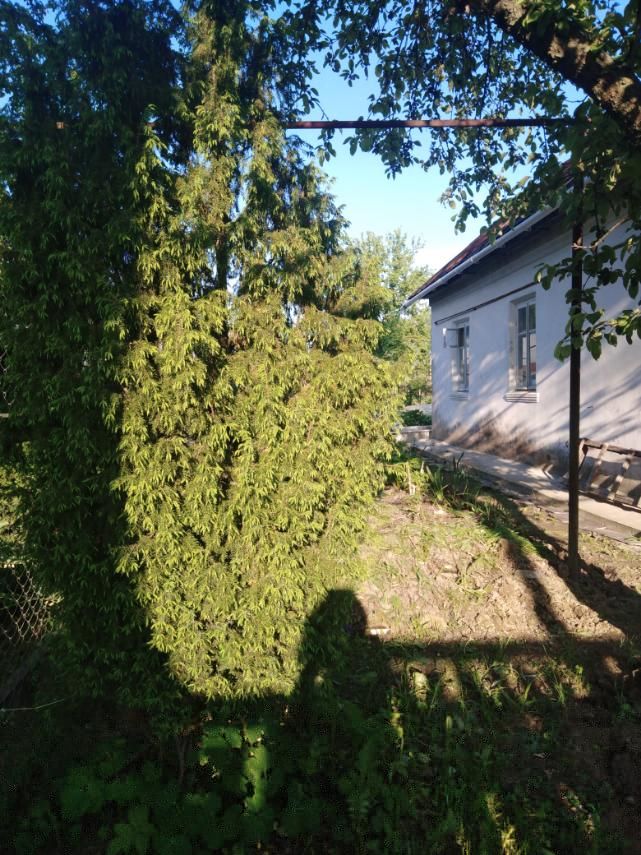 Продажа дома, 46м <sup>2</sup>, 9 сот., Богородское, Клинцевская Продажа дома, 46м <sup>2</sup>, 9 сот., Богородское, Клинцевская