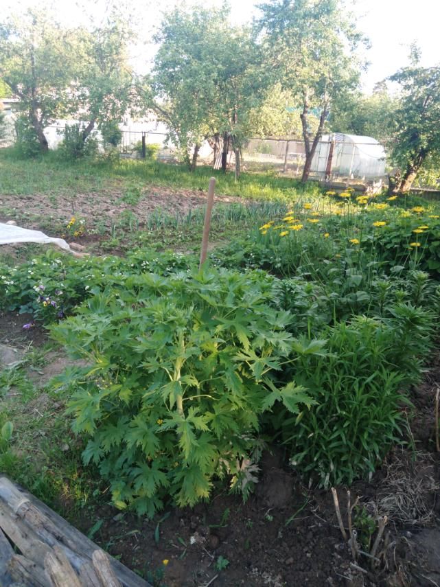 Продажа дома, 46м <sup>2</sup>, 9 сот., Богородское, Клинцевская Продажа дома, 46м <sup>2</sup>, 9 сот., Богородское, Клинцевская