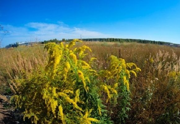 Продажа участка, Ростовская Продажа участка, Ростовская