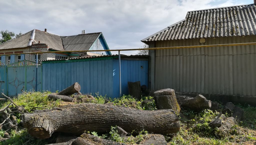 Продажа дома, 45м <sup>2</sup>, 35 сот., Сетное Продажа дома, 45м <sup>2</sup>, 35 сот., Сетное