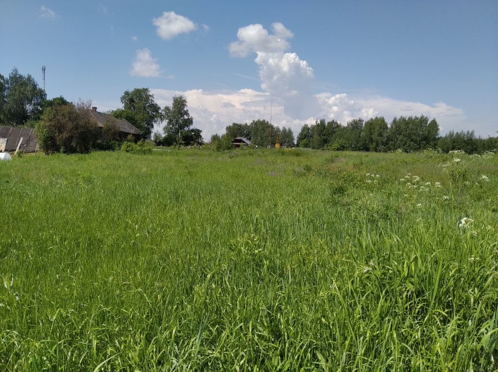 Продажа участка, Курочино Продажа участка, Курочино