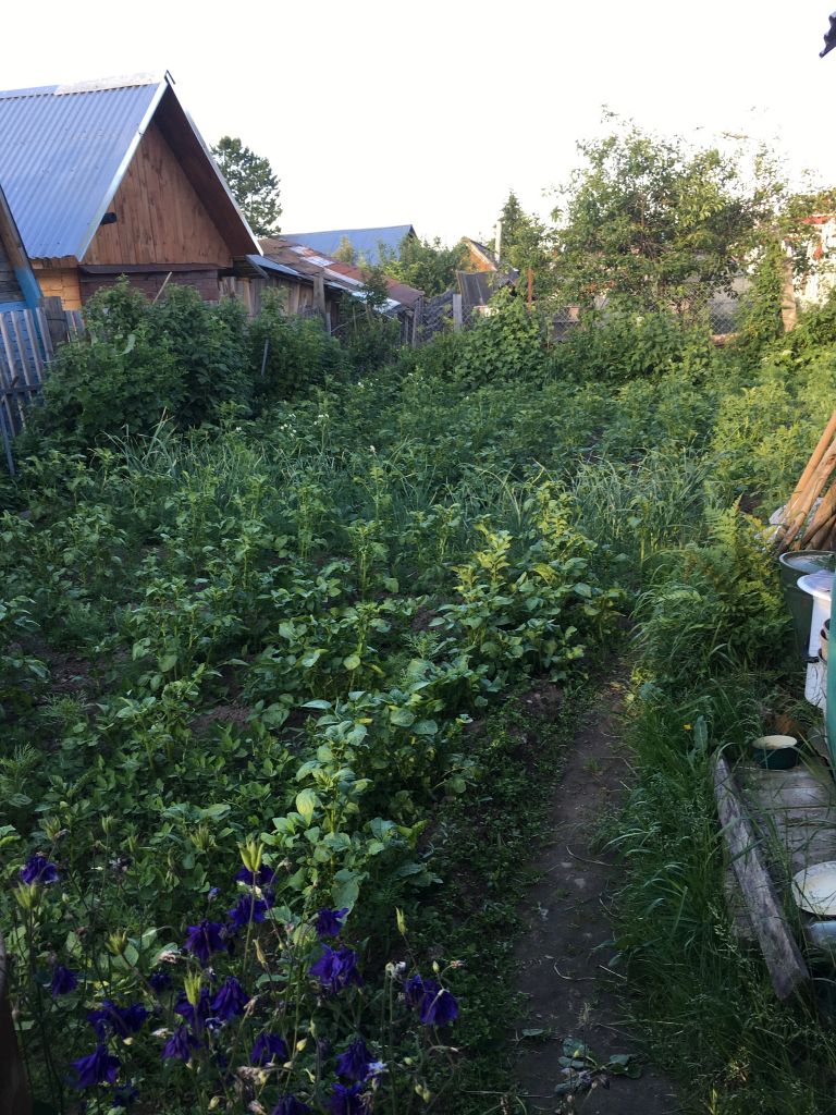 Продажа дома, 50м <sup>2</sup>, 7 сот., Шуя, Гридкинская 1-я ул Продажа дома, 50м <sup>2</sup>, 7 сот., Шуя, Гридкинская 1-я ул