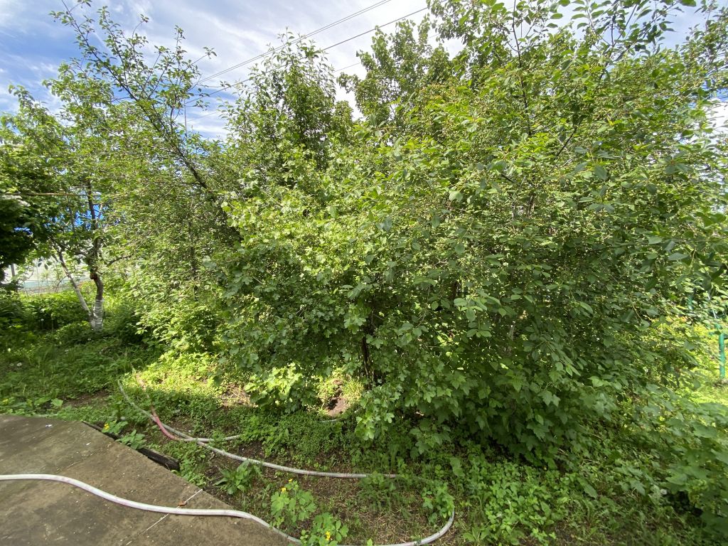 Продажа дома, 82м <sup>2</sup>, 15 сот., Никольское-на-Черемшане, Ленина, 38 Продажа дома, 82м <sup>2</sup>, 15 сот., Никольское-на-Черемшане, Ленина, 38