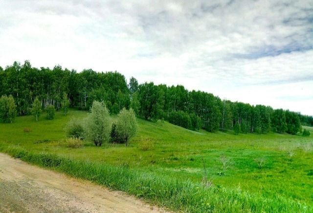 Продажа участка, Победиха, Центральная, 54 Продажа участка, Победиха, Центральная, 54