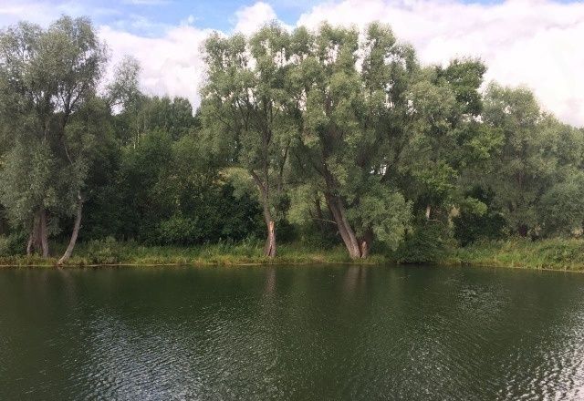 Продажа участка, Победиха, Центральная, 54 Продажа участка, Победиха, Центральная, 54