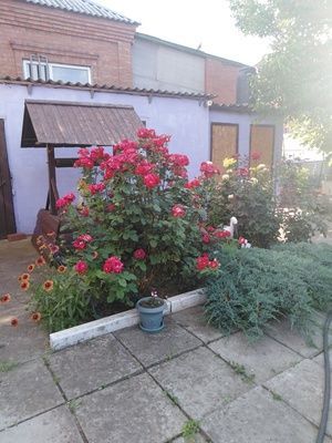 Продажа дома, 155м <sup>2</sup>, 5 сот., Батайск, Цимлянская ул Продажа дома, 155м <sup>2</sup>, 5 сот., Батайск, Цимлянская ул