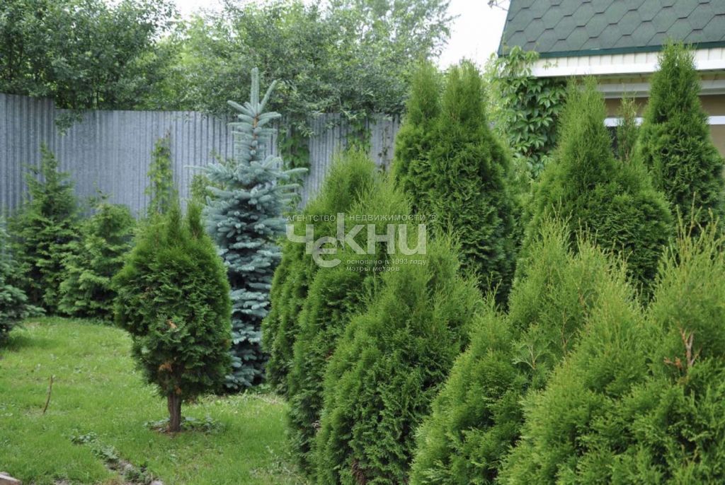 Продажа коммерческой недвижимости, 1063м <sup>2</sup>, Дуденево, Шоссейная, 8 Продажа коммерческой недвижимости, 1063м <sup>2</sup>, Дуденево, Шоссейная, 8