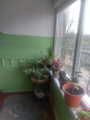 Продажа 2-комнатной квартиры, Батайск, Комарова ул Продажа 2-комнатной квартиры, Батайск, Комарова ул