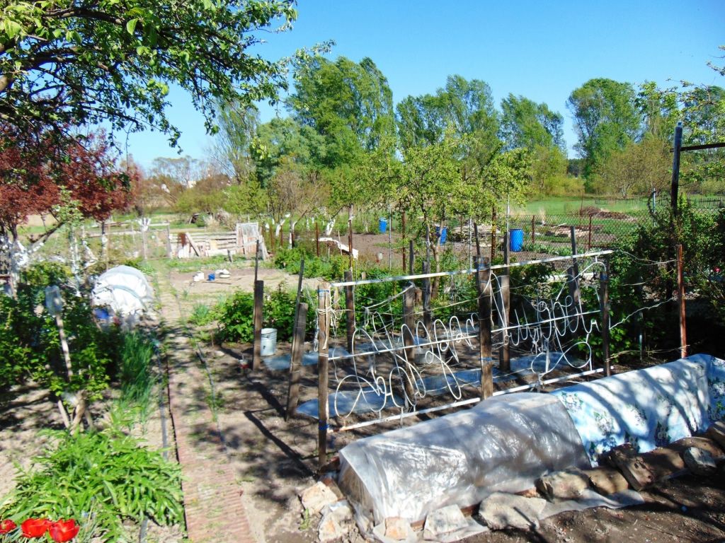 Продажа дома, 42м <sup>2</sup>, 4 сот., Белгород, Донецкая ул Продажа дома, 42м <sup>2</sup>, 4 сот., Белгород, Донецкая ул