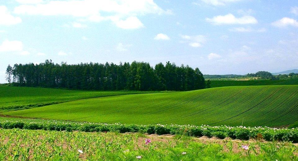 Продажа участка, Северный, Северная Улица Продажа участка, Северный, Северная Улица