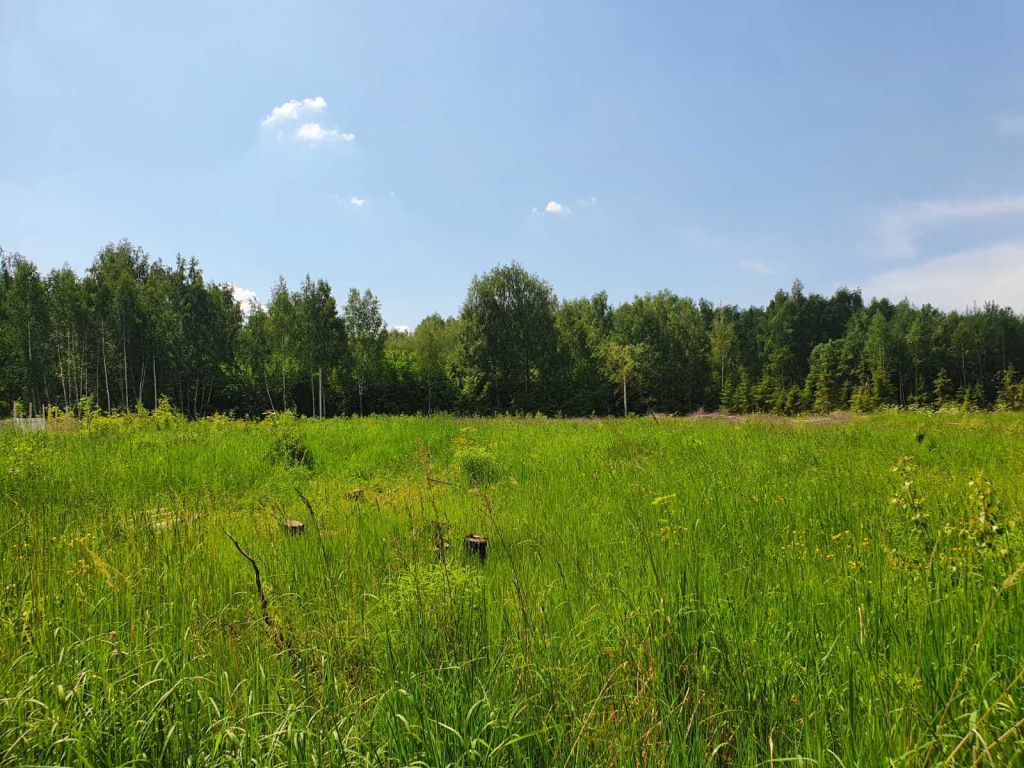 Продажа участка, Великий Враг Продажа участка, Великий Враг