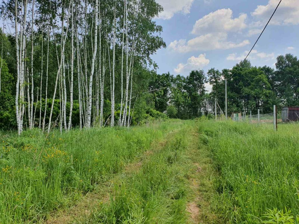 Продажа участка, Великий Враг Продажа участка, Великий Враг
