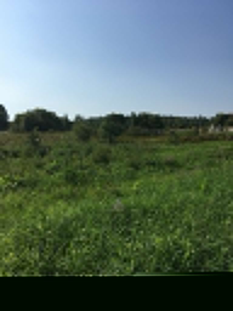 Продажа участка, Пеньки Продажа участка, Пеньки