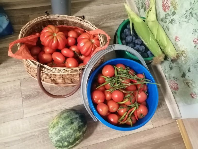 Продажа дома, 50м <sup>2</sup>, 37 сот., Двулучное, Степана Разина, 6 Продажа дома, 50м <sup>2</sup>, 37 сот., Двулучное, Степана Разина, 6