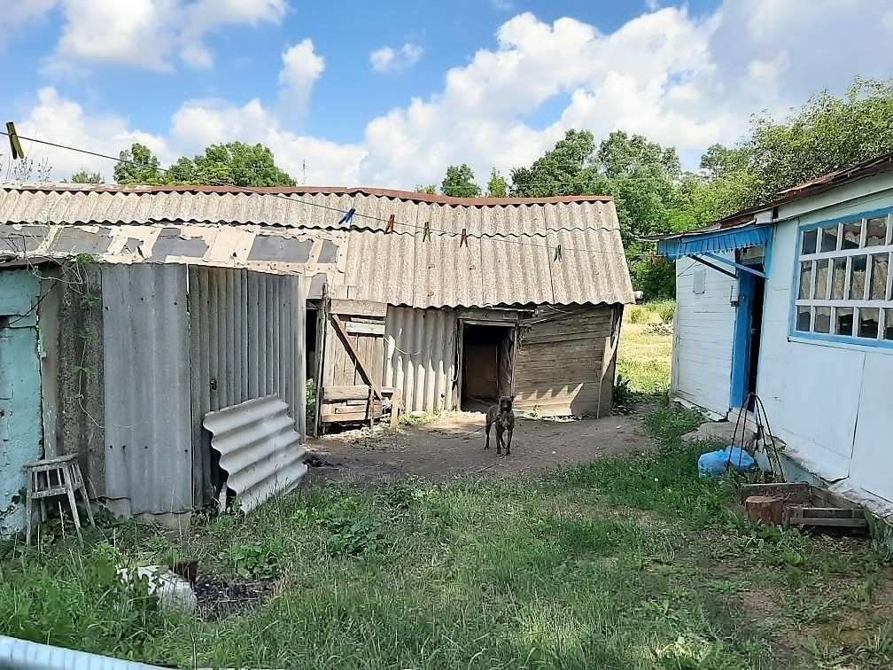 Продажа дома, 49м <sup>2</sup>, 14 сот., Ливенка, Куйбышева, 16 Продажа дома, 49м <sup>2</sup>, 14 сот., Ливенка, Куйбышева, 16