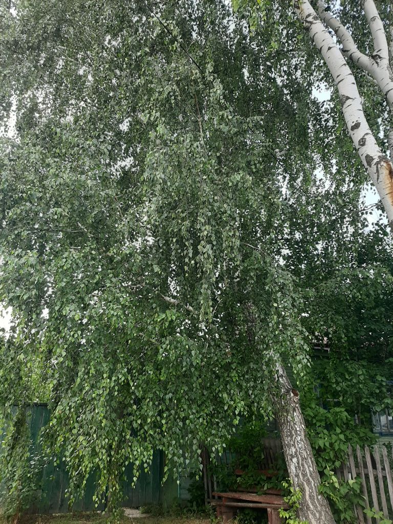 Продажа дома, 56м <sup>2</sup>, 45 сот., Староивановка, Комсомольская, 62 Продажа дома, 56м <sup>2</sup>, 45 сот., Староивановка, Комсомольская, 62