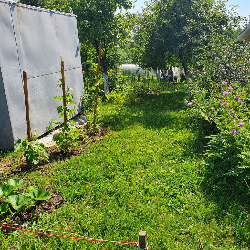 Продажа участка, Кстово, СНТ Волга Продажа участка, Кстово, СНТ Волга