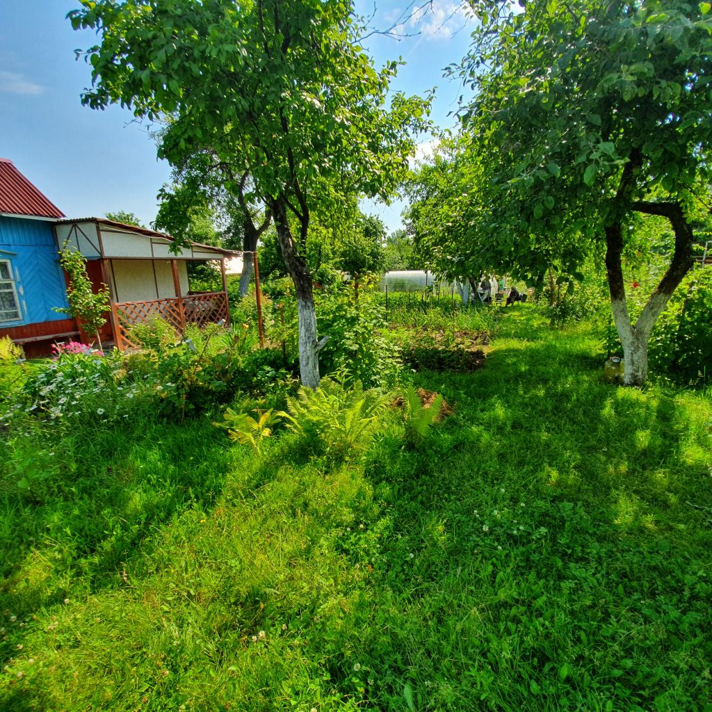 Продажа участка, Кстово, СНТ Волга Продажа участка, Кстово, СНТ Волга