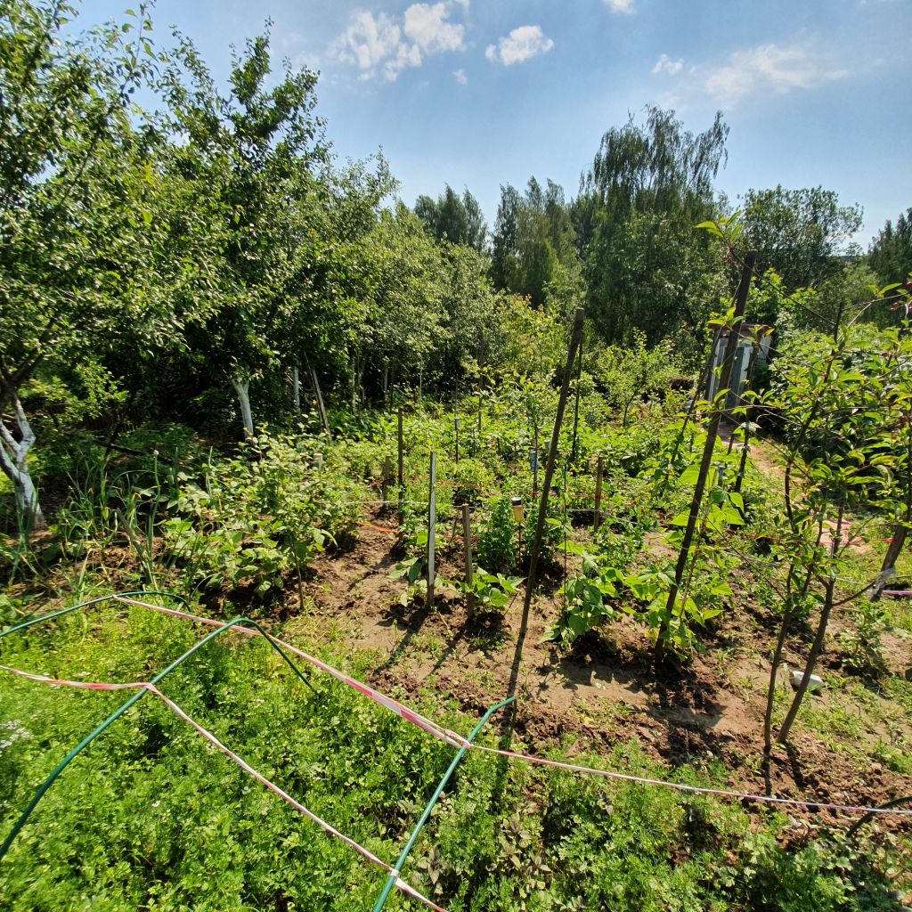 Продажа участка, Кстово, СНТ Волга Продажа участка, Кстово, СНТ Волга