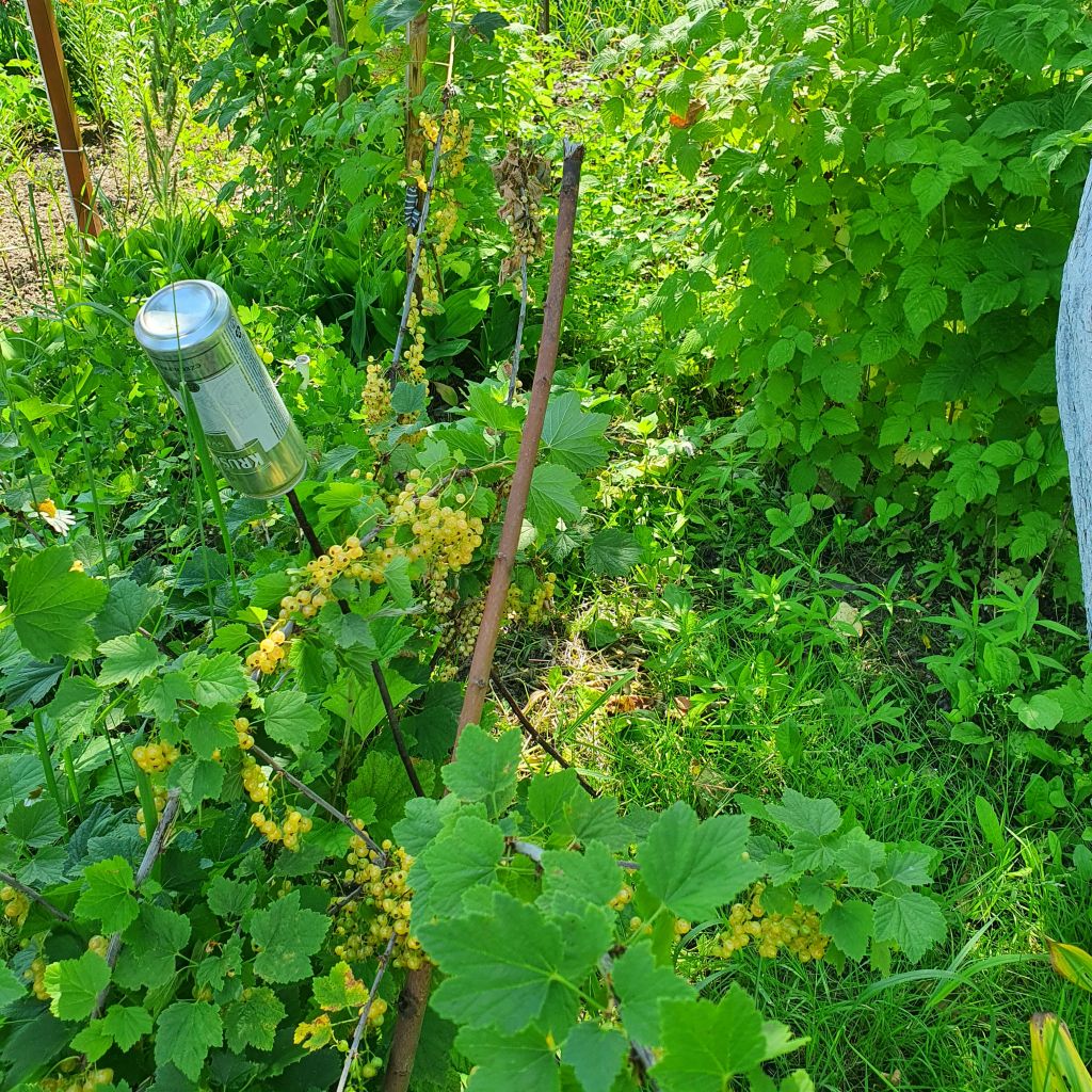 Продажа участка, Кстово, СНТ Волга Продажа участка, Кстово, СНТ Волга