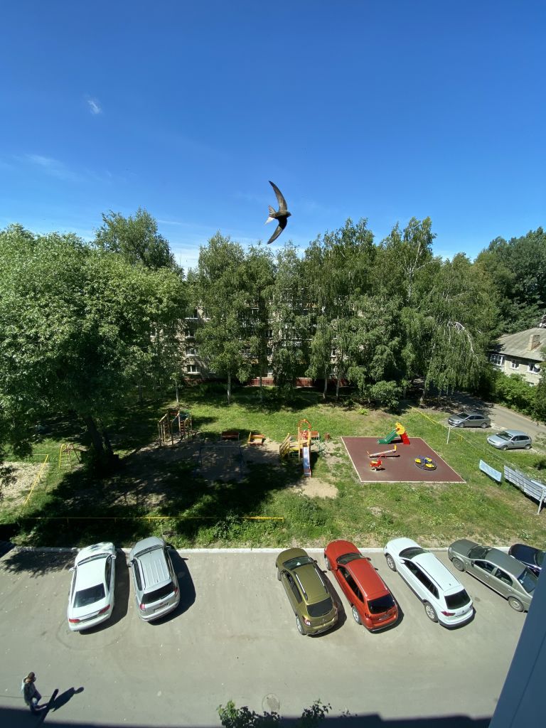 Продажа 3-комнатной квартиры, Димитровград, Куйбышева ул, 272 Продажа 3-комнатной квартиры, Димитровград, Куйбышева ул, 272
