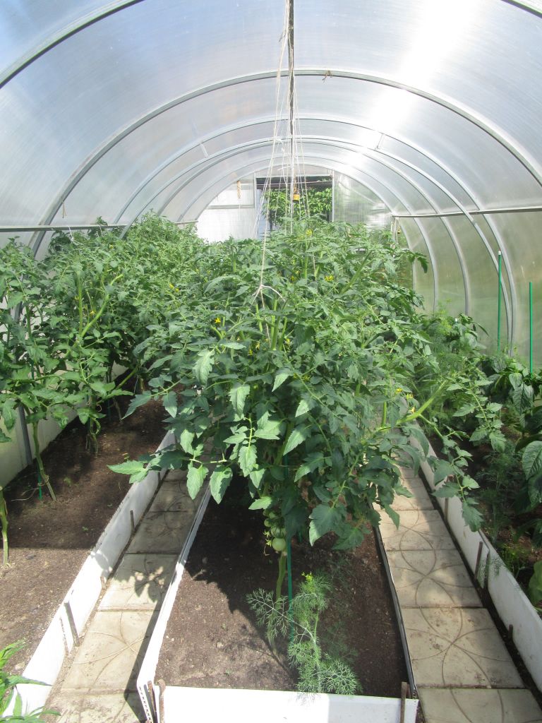 Продажа дачи, 50м <sup>2</sup>, 6 сот., Смоленск, Досуговское ш Продажа дачи, 50м <sup>2</sup>, 6 сот., Смоленск, Досуговское ш