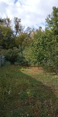 Продажа участка, Красный Сад Продажа участка, Красный Сад