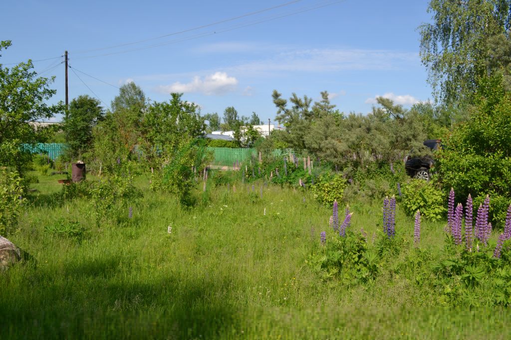 Продажа дачи, 16м <sup>2</sup>, 6 сот., Пуково, Садовая, 3 Продажа дачи, 16м <sup>2</sup>, 6 сот., Пуково, Садовая, 3