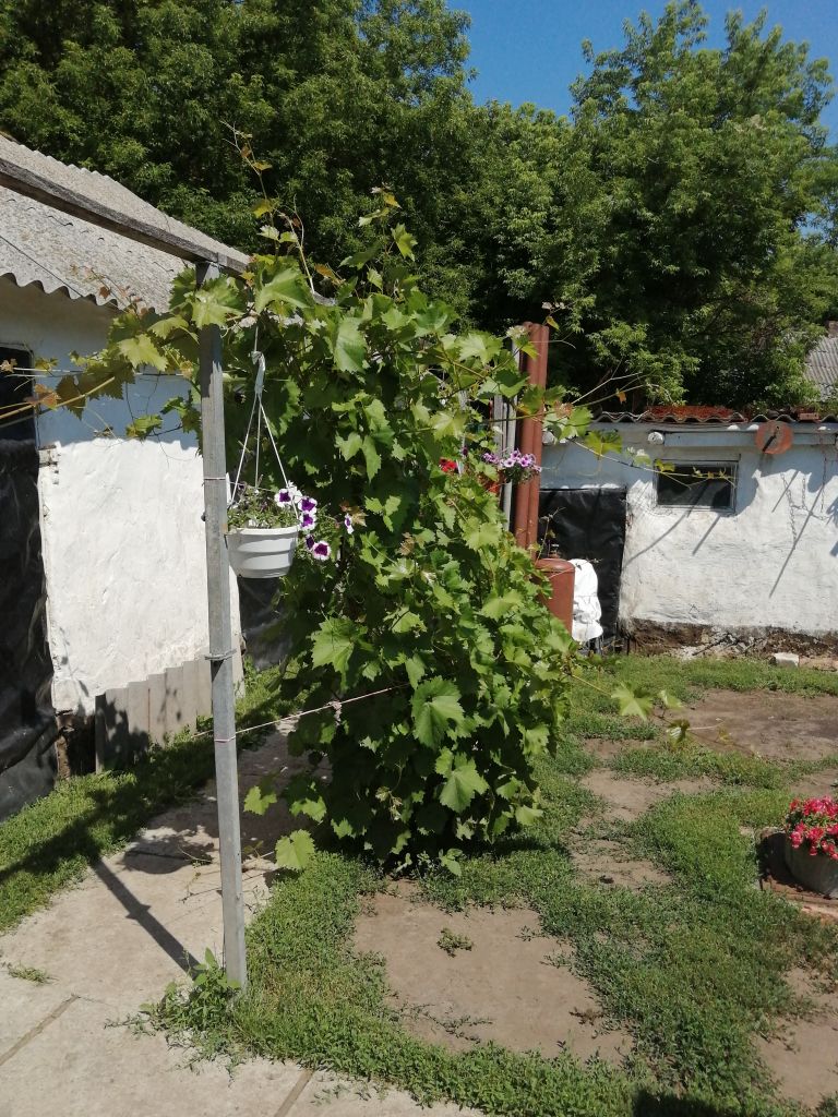 Продажа дома, 49м <sup>2</sup>, 43 сот., Вериговка, Зеленая, 4 Продажа дома, 49м <sup>2</sup>, 43 сот., Вериговка, Зеленая, 4