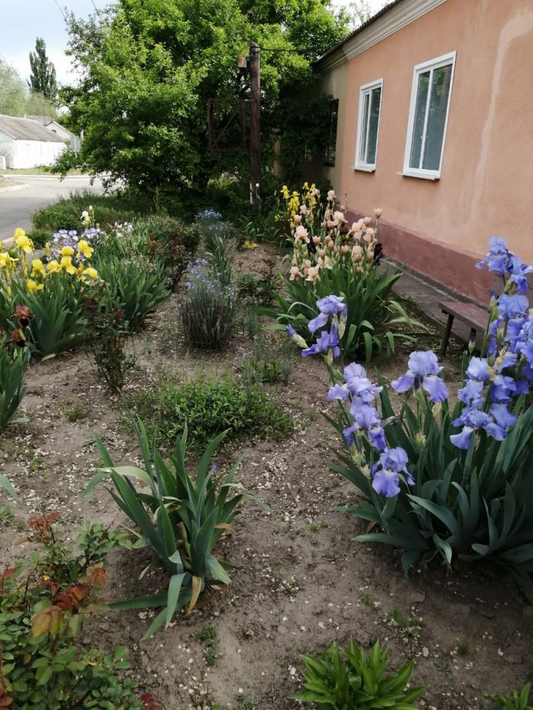 Продажа дома, 86м <sup>2</sup>, 10 сот., Шишкино, Пер. Новый ,  9