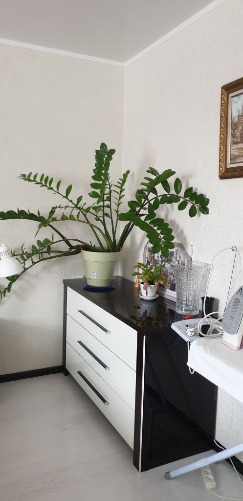 Продажа 1-комнатной квартиры, Пятигорск, Нежнова ул,  21